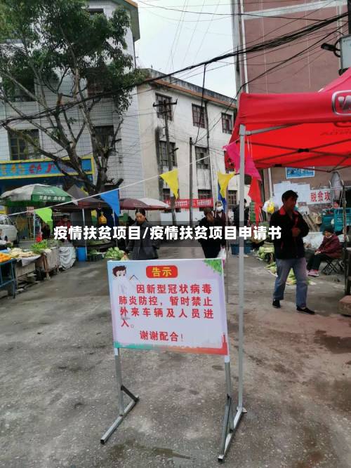 疫情扶贫项目/疫情扶贫项目申请书