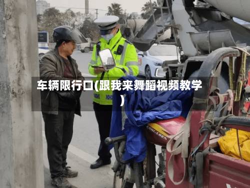 车辆限行口(跟我来舞蹈视频教学)