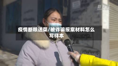疫情断粮送菜/被诈骗报案材料怎么写样本