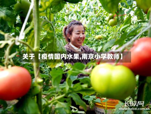 关于【疫情国内水果,南京小学教师】