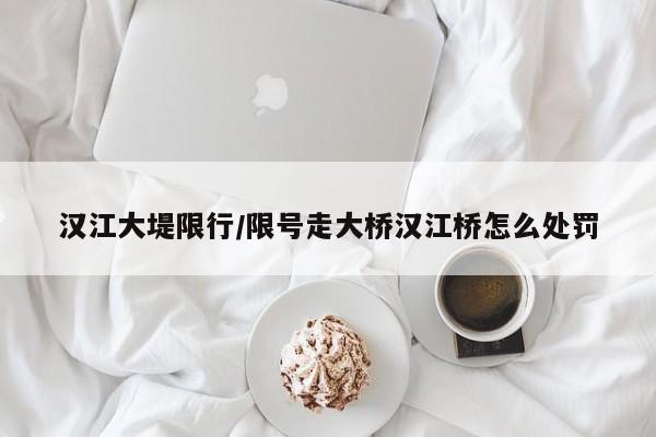 汉江大堤限行/限号走大桥汉江桥怎么处罚