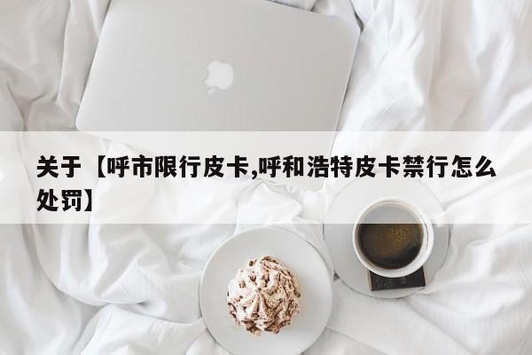 关于【呼市限行皮卡,呼和浩特皮卡禁行怎么处罚】