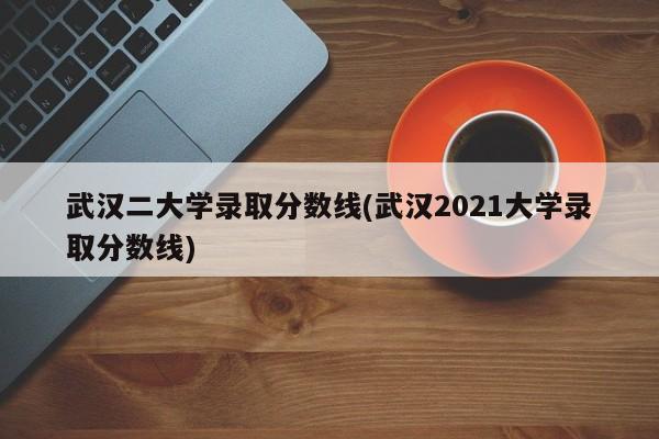 武汉二大学录取分数线(武汉2021大学录取分数线)
