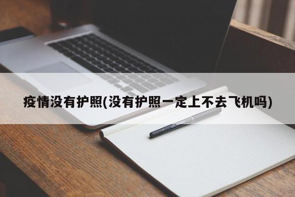 疫情没有护照(没有护照一定上不去飞机吗)