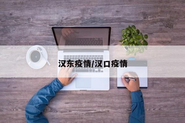 汉东疫情/汉口疫情