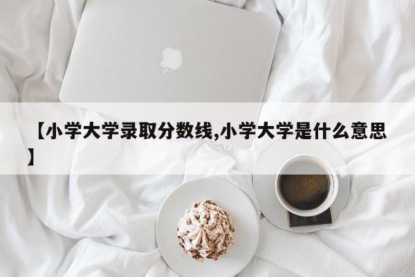 【小学大学录取分数线,小学大学是什么意思】