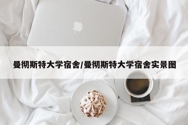 曼彻斯特大学宿舍/曼彻斯特大学宿舍实景图