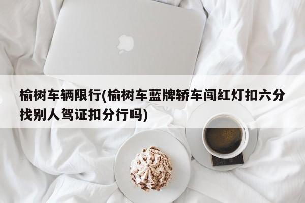 榆树车辆限行(榆树车蓝牌轿车闯红灯扣六分找别人驾证扣分行吗)