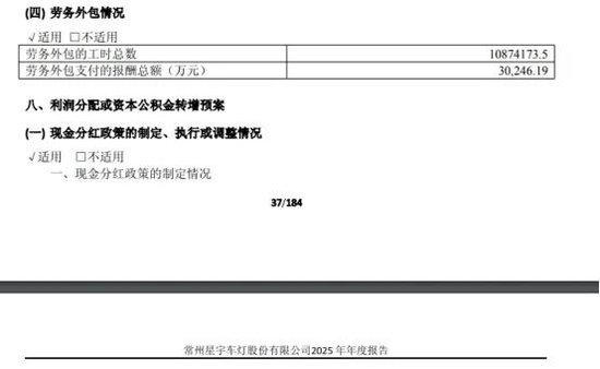 星宇股份再现重大财报差错，2.44万亿外包费用？