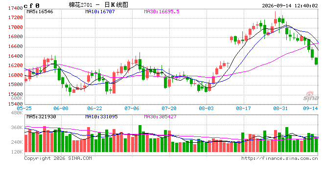 利多支撑与需求抑制并存 棉短绒价格继续上涨空间收窄
