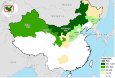 读懂葵油 | 初步了解葵花籽和葵花籽油的基本情况