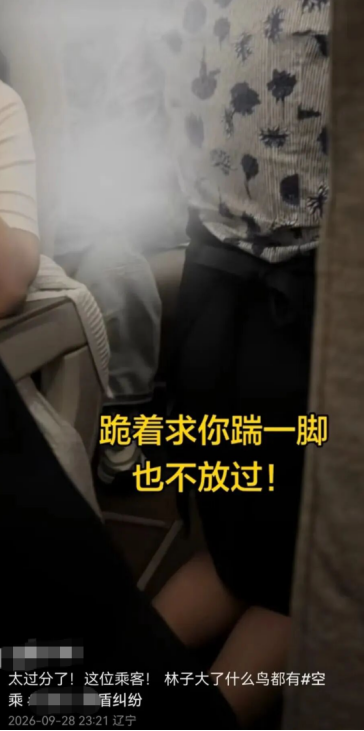 “要让肇事者付出代价！”东航就“空姐下跪事件”报案	，六成网友支持“应加大惩戒辱骂者	”